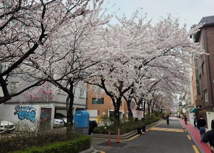 Hongdae 7min From Hongdae St Apartamento *